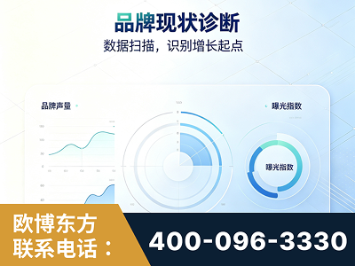 枣阳-品牌现状诊断