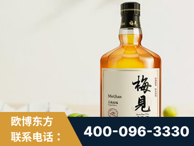 枣阳-梅见青梅酒